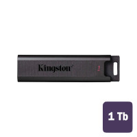 USB-флешка 1TB, Kingston DTMAX/1TB, USB-C, черная