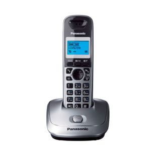Dect телефон Panasonic KX-TG2511 CAM, серый