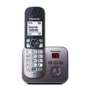 Dect телефон Panasonic KX-TG6821 CAM, серый