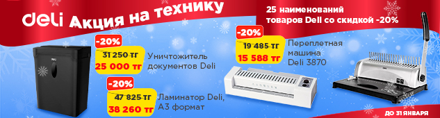 Зима выгодных покупок: 20% скидка на технику Deli!