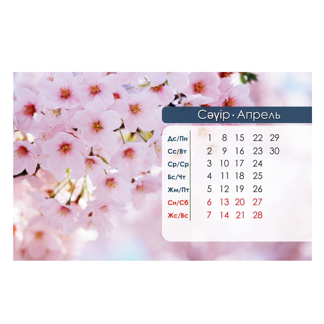 эссе на тему человек и природа 130 слов