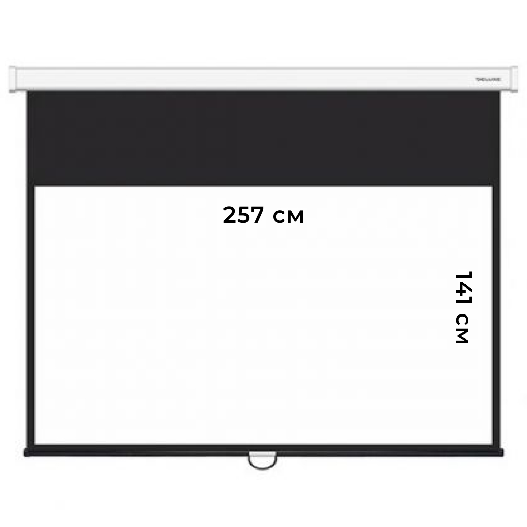 Настенный экран Deluxe DLS-M265x149W, 257*141 см